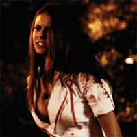 /album/galerie-foto/random-katherine-pierce-and-elena-gilbert-34859049-245-245-gif/